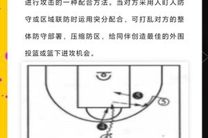 篮球夏训中的团队战术训练方案：打造高效协作的冠军队伍